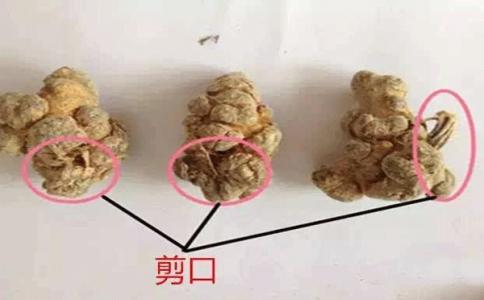 差的帶剪口三七