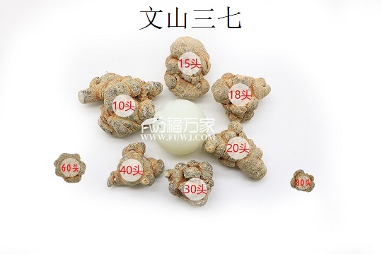 三七個(gè)頭決定三七粉質(zhì)量