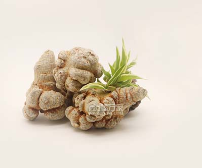 三七種植時(shí)間長(zhǎng)的好