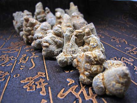 三七買(mǎi)哪里的